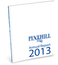 2013 Annual Report Thumbnail