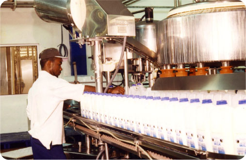 Two fillers were added to facilitate the packaging Two fillers were added to facilitate the packaging